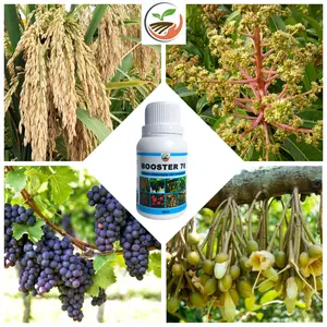 Booster 76 Hormon Pembungaan dan Pembuahan - Hormon dan Pupuk Buah dan Tanaman Bunga Pohon Original Asli Resmi