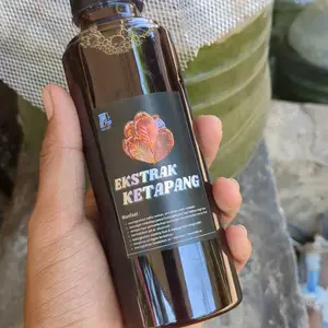 Fish Art • Ekstrak Ketapang Pekat Mempercepat Proses Mutasi Warna Ikan Cupang dan Ikan Channa | Daun Ketapang Fermentasi