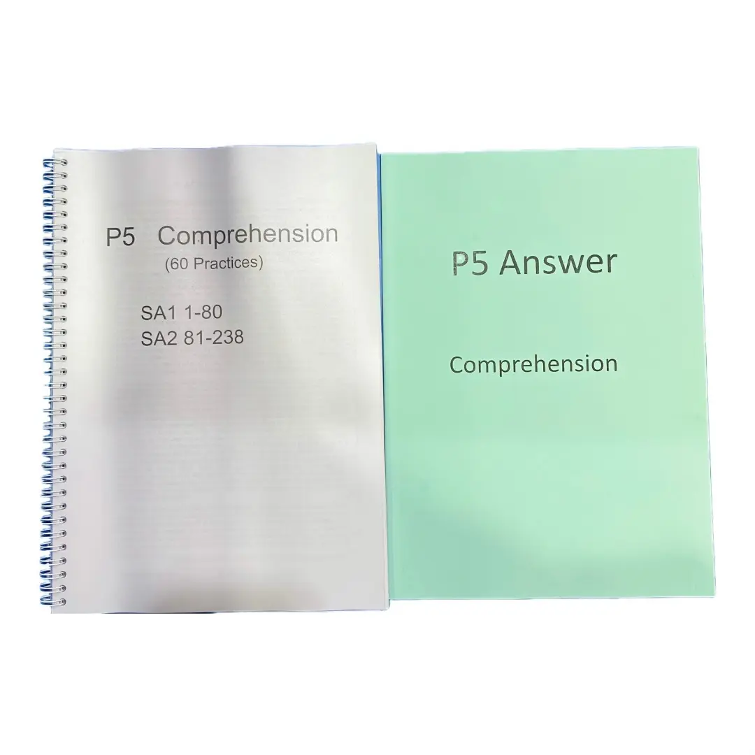 P5 Comprehension practice paper