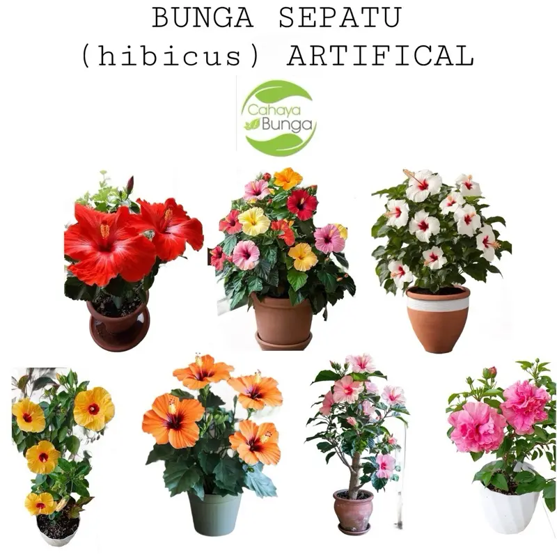Bunga Sepatu Bangkok (hibicus) artifical  - 16 variasi warna - 1 paket isi 4 warna