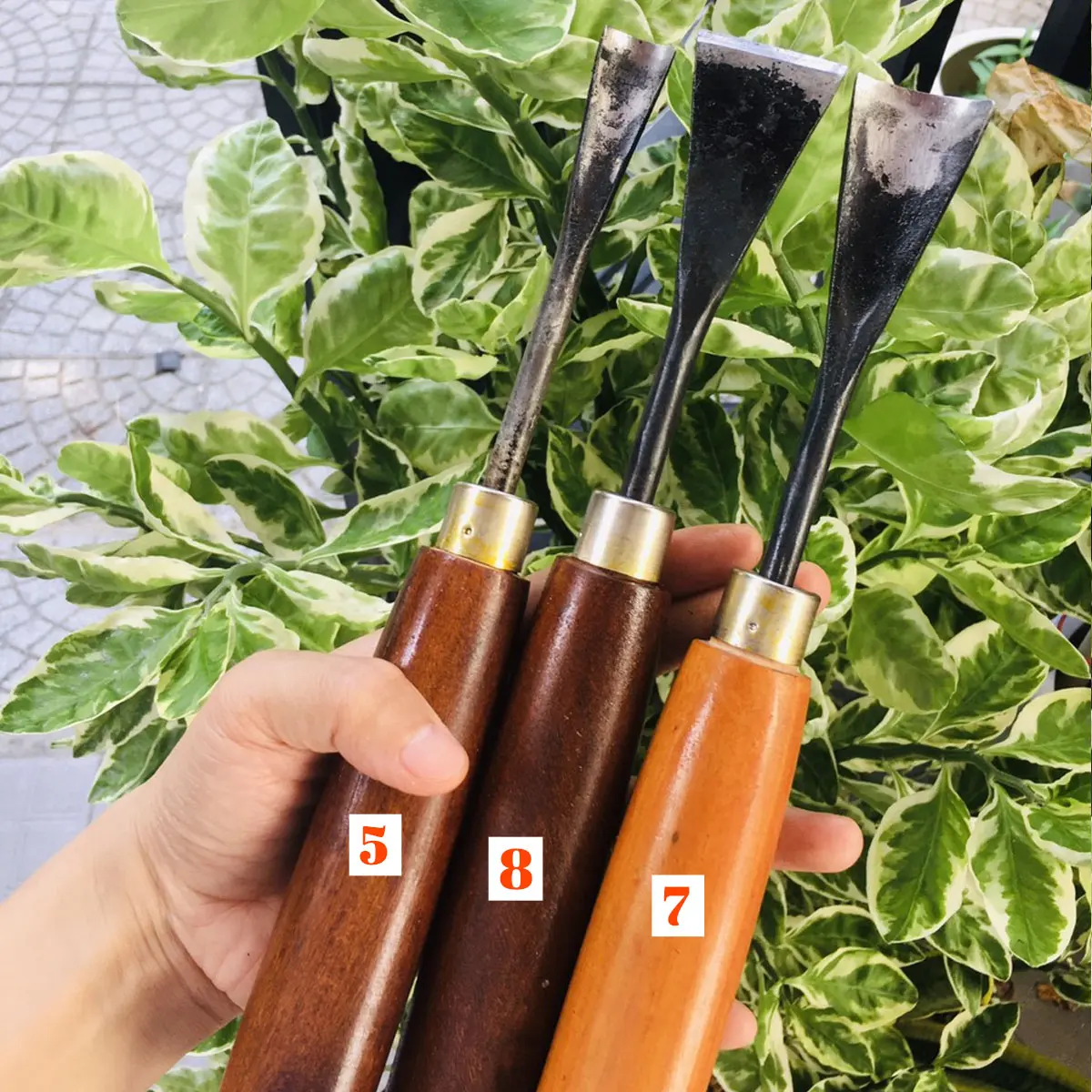 Combo 03 mũi đục bonsai chuyên dụng KHÔNG KÈM DÙI GÕ, hàng thủ công Việt Nam [DUC-015.017.018] - Công cụ Bonsai Đà Nẵng