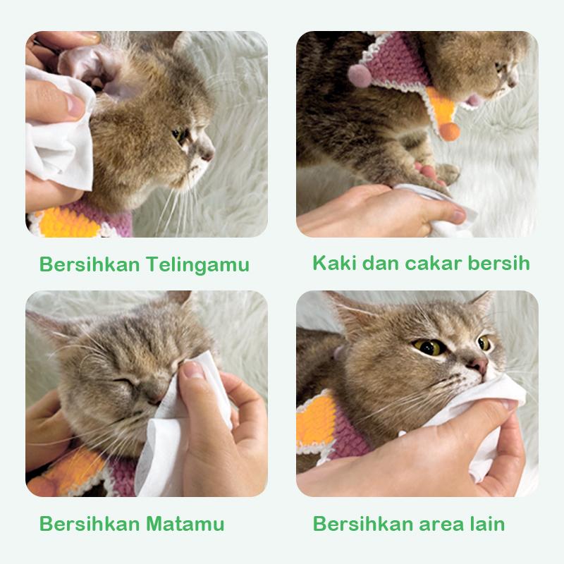 Tisu Basah Pembersih Kucing Anjing Grooming Hewan Murah Handuk Tissue 80Pcs/Bungkus