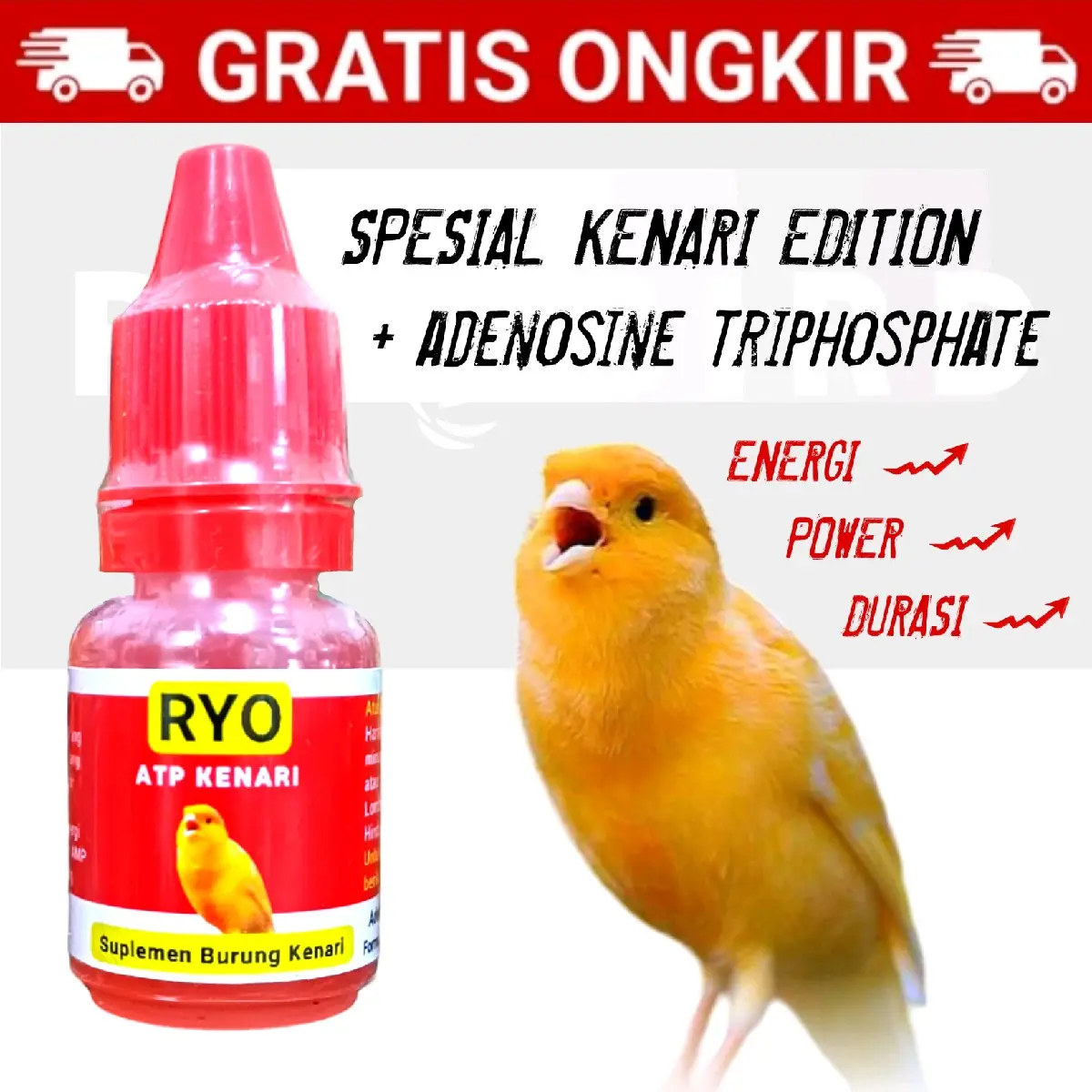 RYO ATP KENARI Adenosine Triphospate Vitamin Burung Kenari Sanger Blacktroath