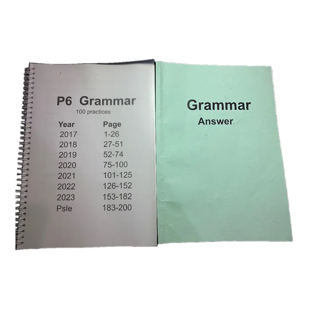 P6 Grammar practice Paper