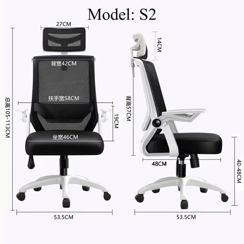 EZCARAY S2 High-back Ergonomic Home Office Gaming Chair
