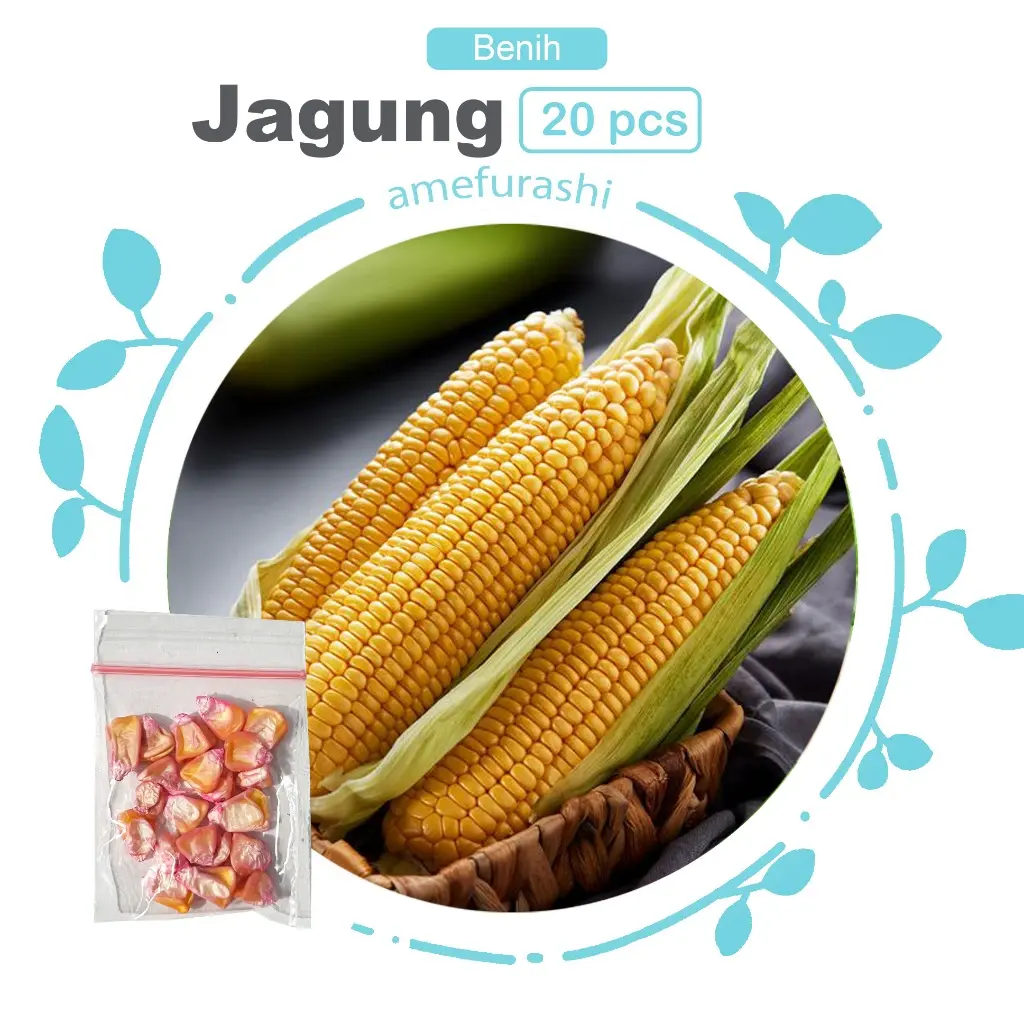 Jagung 20 Biji