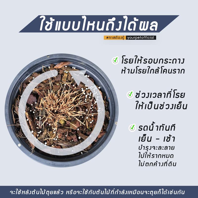 บำรุงไผ่ (1 แพ็ค 10 ซอง  ใช้ได้นาน 12 เดือน!! )ใช้กับต้นไผ่แมวได้เห็นผล