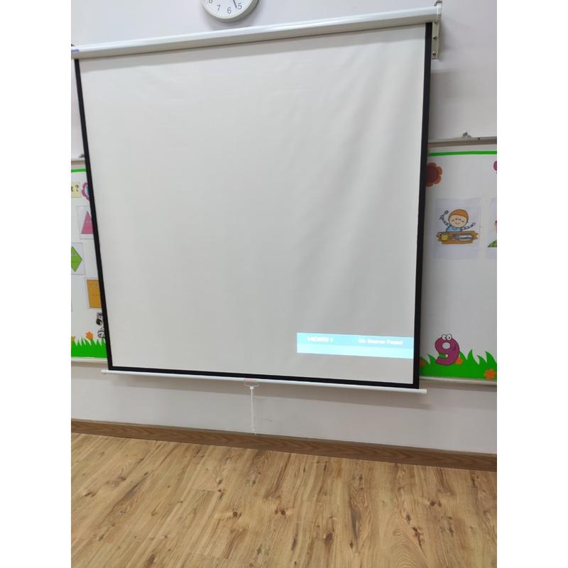 Màn chiếu treo tường Dalite 100 inch