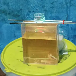 Akuarium Cupang 10x5x12 cm Bahan Akrilik