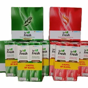 [ 1 KOTAK ISI 6 BOTOL] PAKET RESELLER SO FRESH MINYAK ANGIN AROMATHERAPY