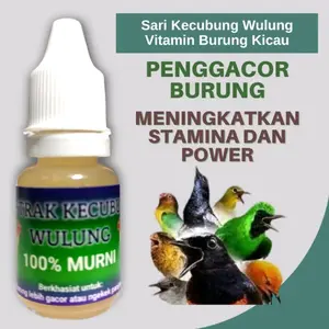 Sari Kecubung Wulung 100% Original Vitamin Burung Kicau Meningkatkan Stamina Power dan Konslet Burung