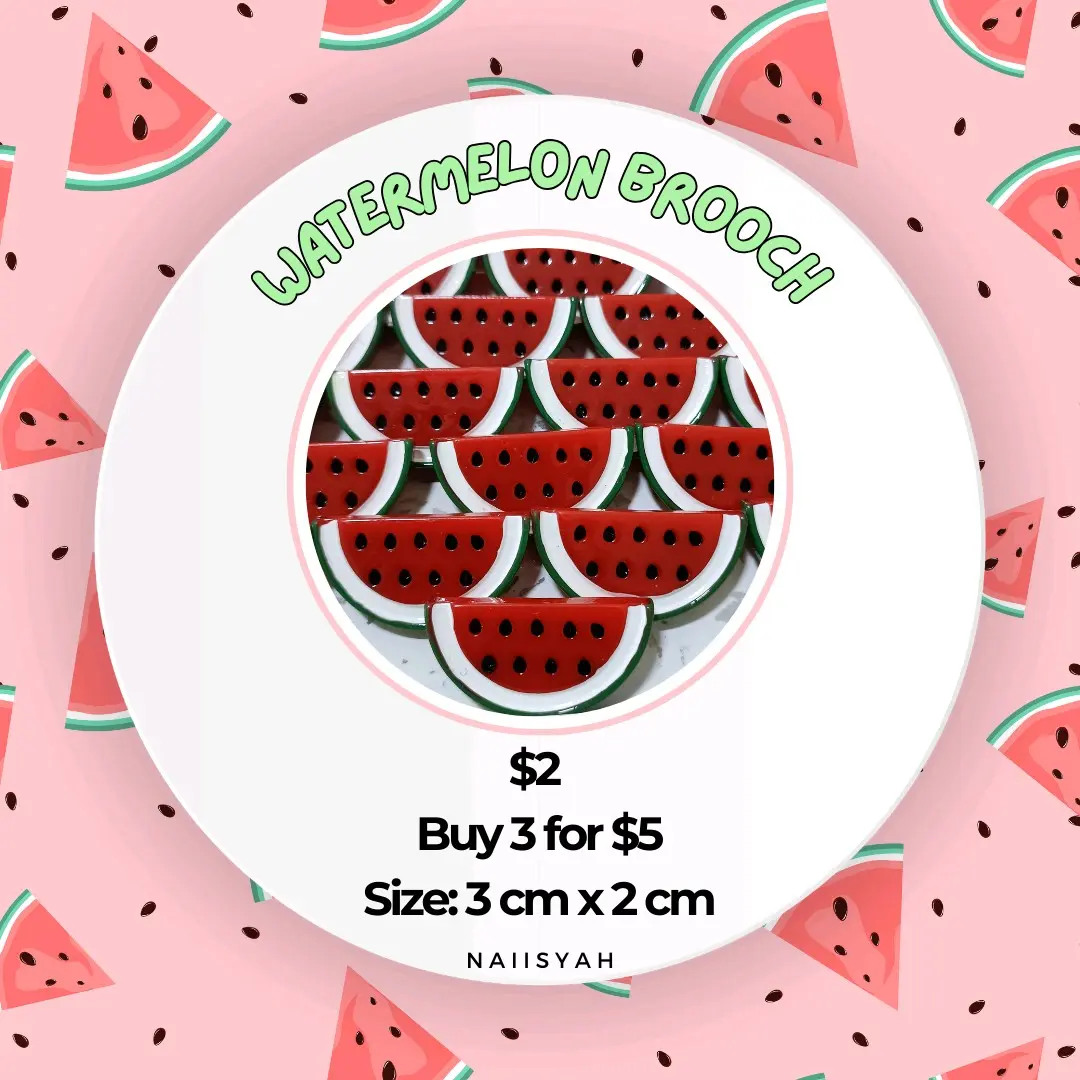 Watermelon series: brooch / badge & pouch