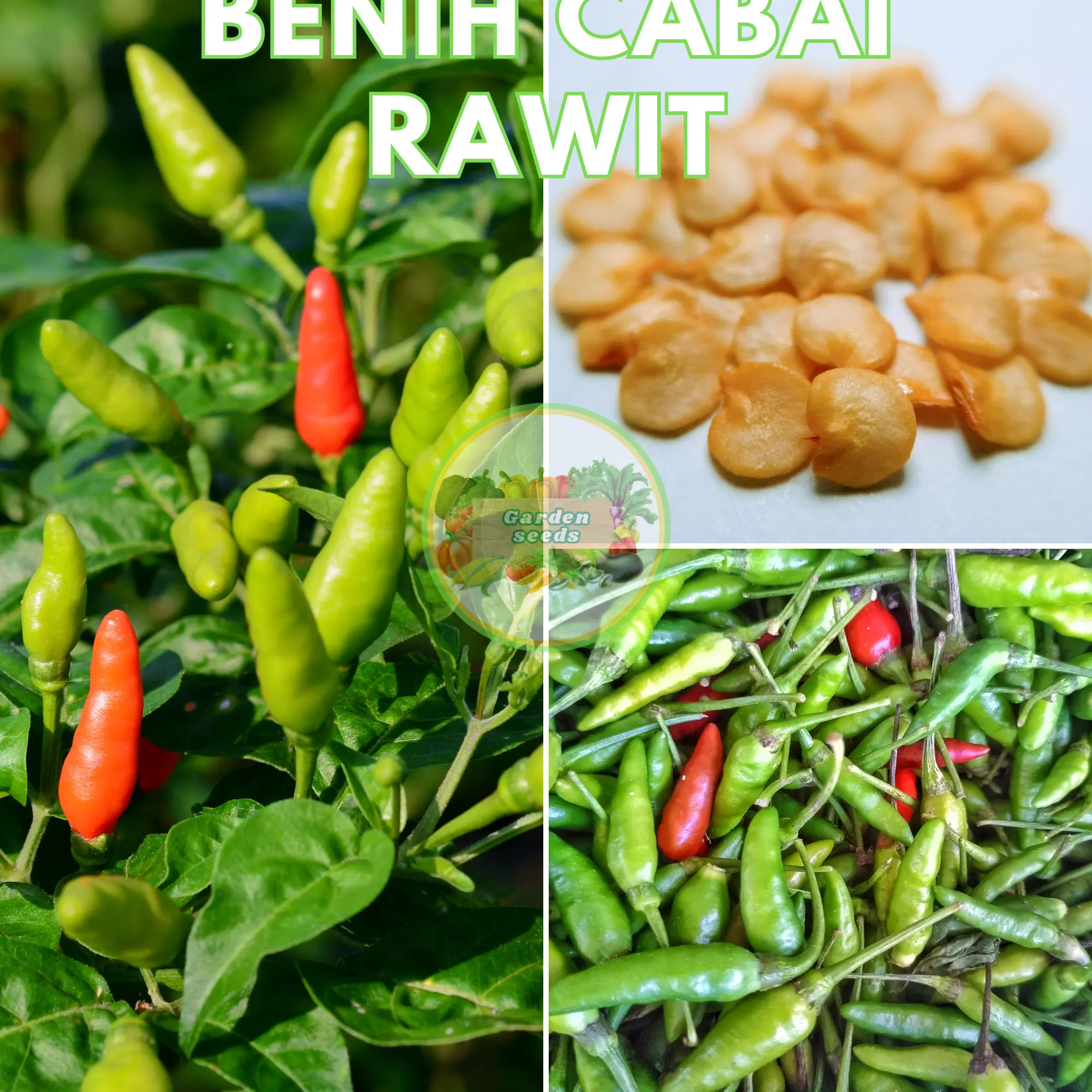 BENIH BIBIT SAYURAN SERIBUAN VARIAN LENGKAP MUDAH TUMBUH TANAMAN DAUN ...