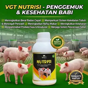 Nutrisi VGT – Suplemen Terbaik untuk Ternak Babi: Meningkatkan Pertumbuhan, Imunitas, dan Kualitas Produksi!