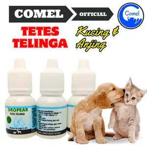 Obat Sakit Telinga Kucing Solusi Anabul Anda Tetap Sehat CHOMEL