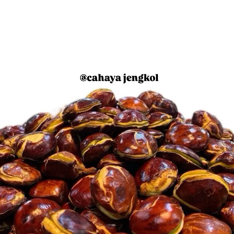 jengkol tua super ukuran besar dan sedang berat 1 kg sudah full sortill