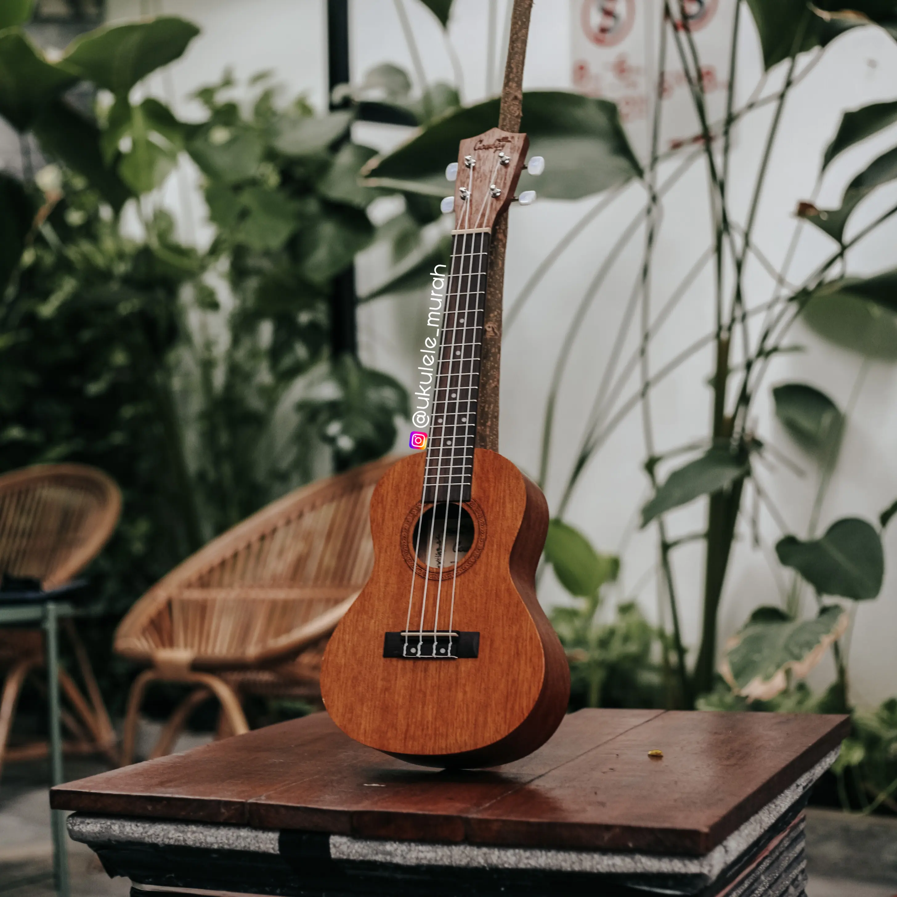 ORIGINAL UKULELE COWBOY CONCERTO COKLAT TUA FREE TAS PICK SENAR