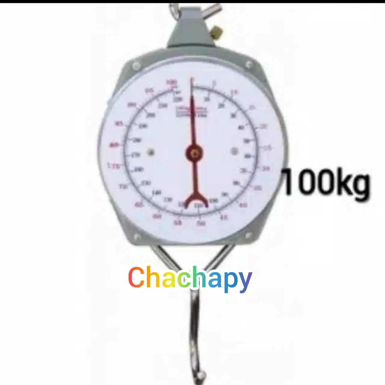 Hanging scale timbangan gantung besi 100kg/ timbangan dus jarum