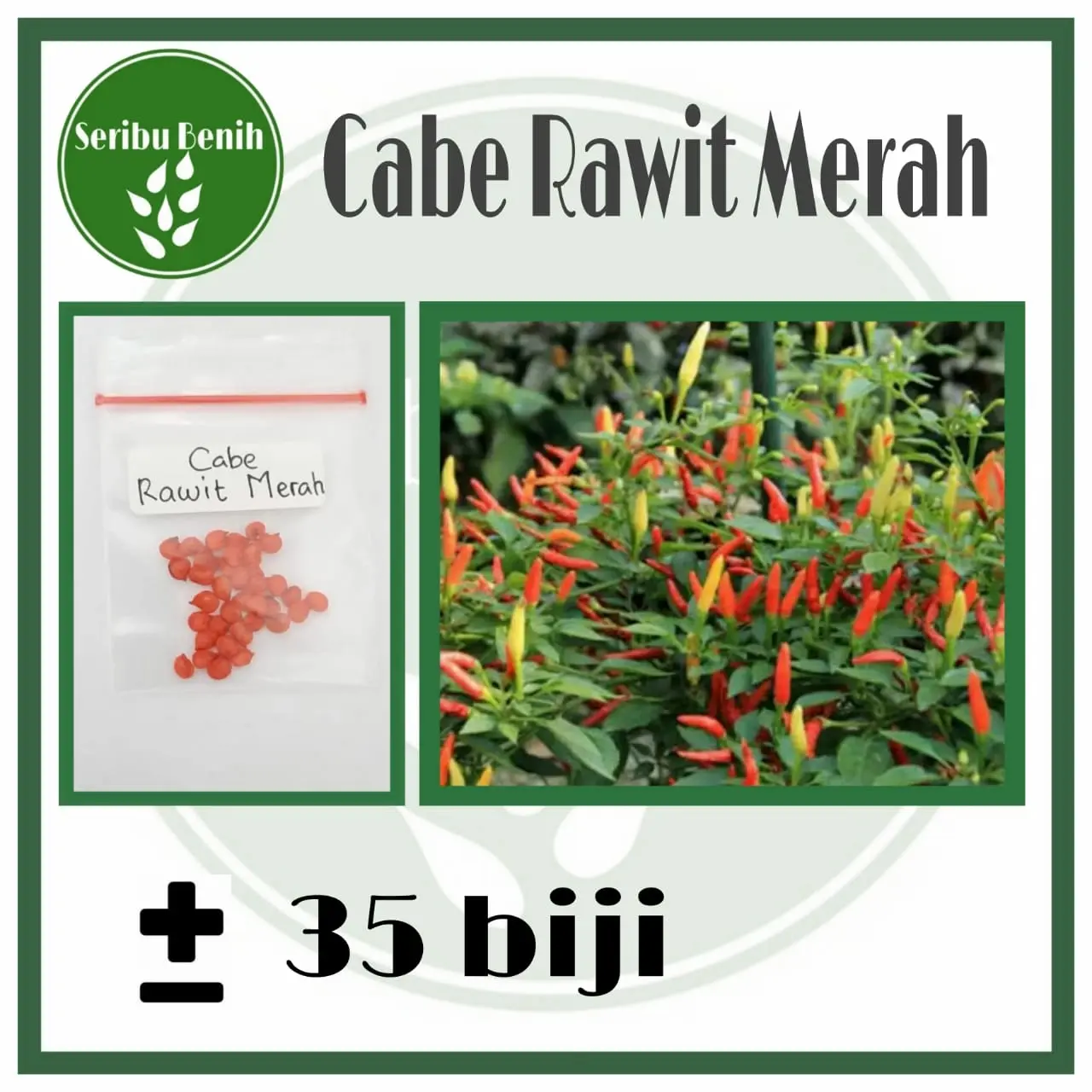 35 Benih Cabe Rawit Merah Unggul - Bibit Cabe Repack [ SERIBU ]