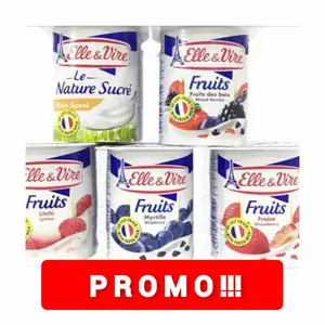 Dessert Lacte / yogurt Elle & Vire (delivery by Ojol only)