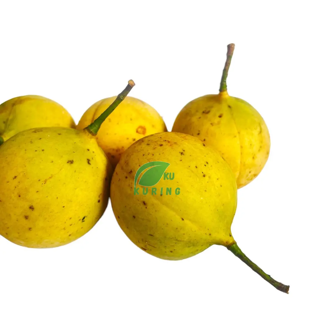 1kg buah pala segar fresh produk petik langsung