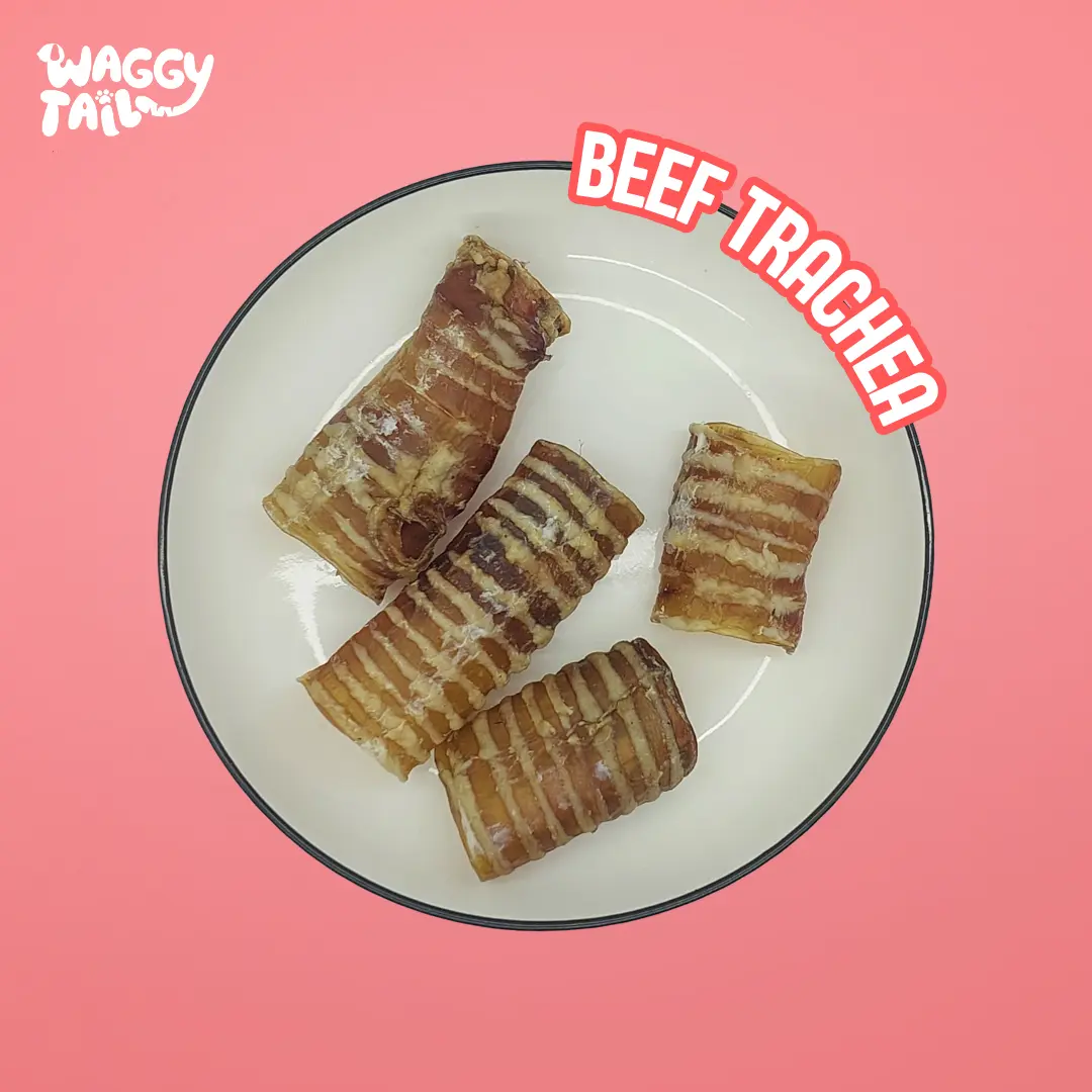 Waggytail beef trachea dog snack cemilan anjing