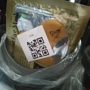 Tempat Sikat Gigi Odol Karakter Beruang Rak Gantung Tempel Dinding