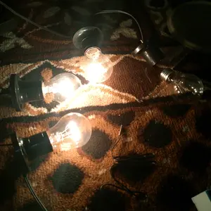 Paket Siap Pakai PSP TDXH Thermostat Termostat Pemanas Thermometer Mesin Tetas Telur